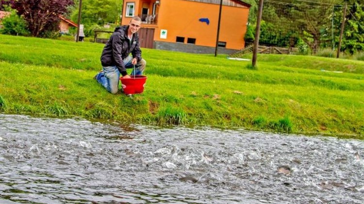 Person füttert Fische aus einem roten Eimer an einem Ufer, im Hintergrund ein orangefarbenes Gebäude mit blauem Symbol.