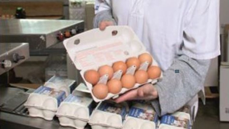 Person in weißer Arbeitskleidung hält geöffnete Eierschachtel mit braunen Eiern, weitere Eierschachteln auf einer Metallfläche.