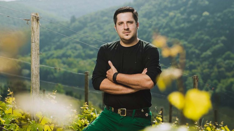 Eine Person in schwarzem Shirt und grüner Hose steht mit verschränkten Armen in einem sonnigen Weinberg vor grünen Hügeln.