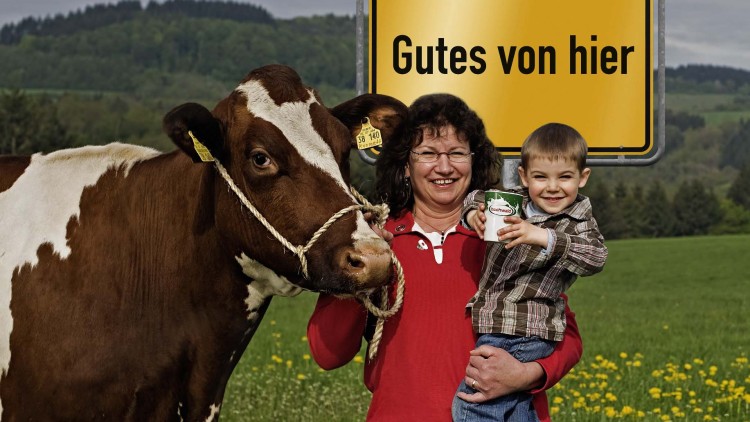 Braun-weiße Kuh auf einer grünen Wiese neben einem gelben Schild mit der Aufschrift Gutes von hier.