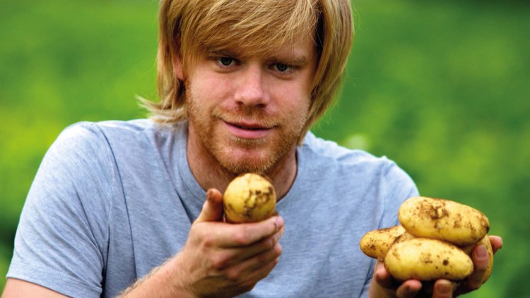 Person hält frisch geerntete Kartoffeln in den Händen, im Hintergrund grüne Feldlandschaft.