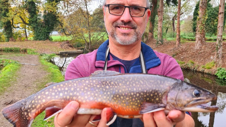 Eine Person hält einen großen Fisch mit orangefarbenem Bauch und dunklem, gepunktetem Rücken vor einem kleinen Fluss.