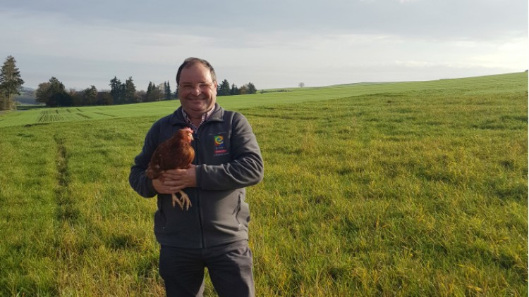 Person hält ein braunes Huhn auf einer grünen Wiese mit Bäumen und weitem Himmel im Hintergrund.