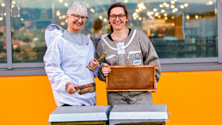 Zwei Personen in Imkerkleidung halten eine Wabenrahmen und eine Bürste vor zwei Bienenkästen, im Hintergrund Glasfassade.