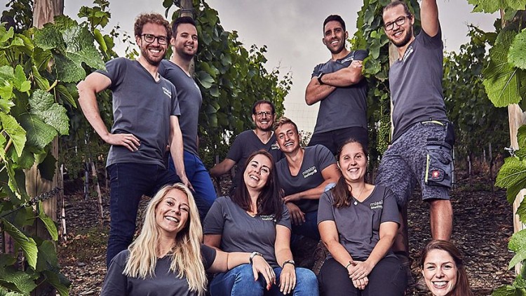 Gruppe von Personen in grauen T-Shirts steht zwischen grünen Weinreben auf einem steinigen Weg unter bewölktem Himmel.