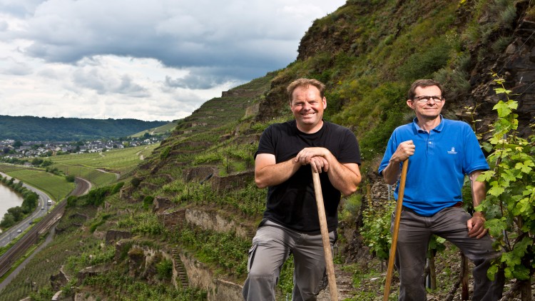 Zwei Personen stehen mit Werkzeug in einem steilen Weinberg, im Hintergrund eine Landschaft mit Straßen und einem Fluss.