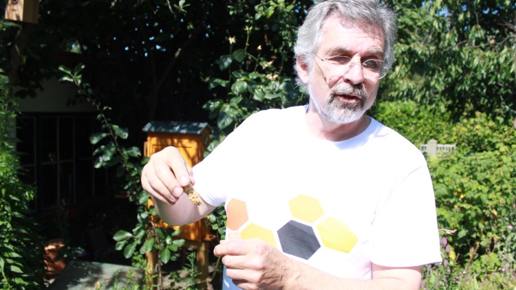Person in weißem T-Shirt mit Wabenmuster hält ein kleines Objekt vor einem Bienenhaus im Gartenbereich.