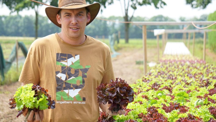 Person in beigem T-Shirt und braunem Hut hält roten und grünen Salat in den Händen, im Hintergrund ein Feld mit Salat.