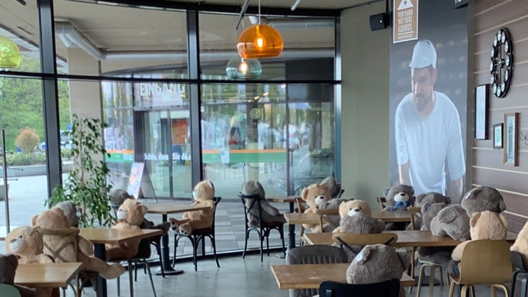 Teddybären sitzen in einem Café auf Stühlen an Tischen, mit Blick auf große Fenster und eine grüne Außenanlage.