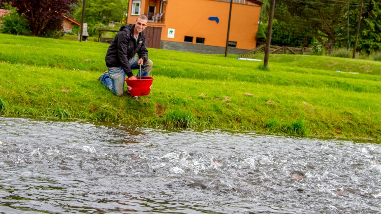 Person in dunkler Kleidung kniet auf einer Wiese und füttert Fische aus einem roten Eimer in einem Teich vor einem orangefarbenen Gebäude.