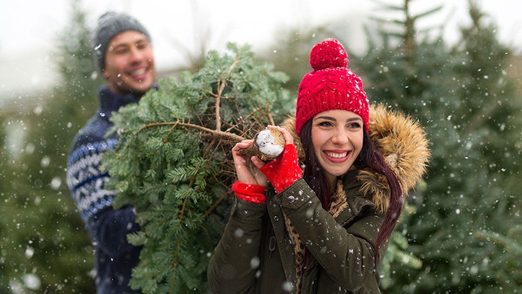 Person trägt geschmückten Tannenbaum durch verschneiten Wald, Kleidung mit roten und dunklen Winteraccessoires.