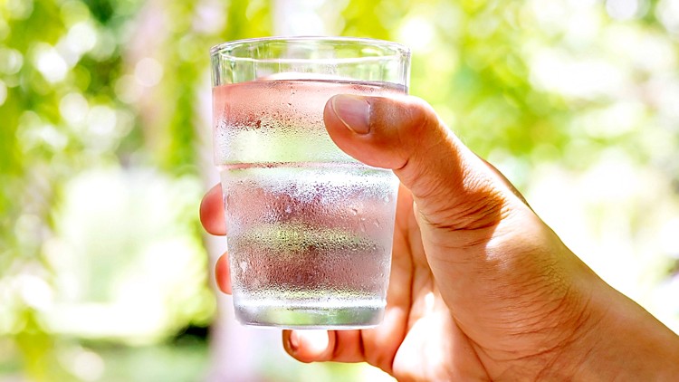 Eine Hand hält ein mit Wasser gefülltes Glas vor einem Hintergrund mit grünen, unscharfen Pflanzen.