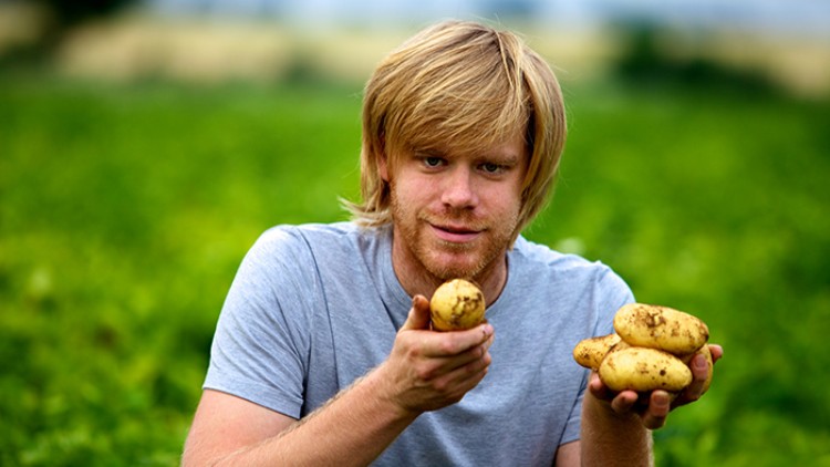 Person in grauem T-Shirt hält mehrere Kartoffeln in den Händen, im Hintergrund ist ein grünes Feld und unscharfe Landschaft.