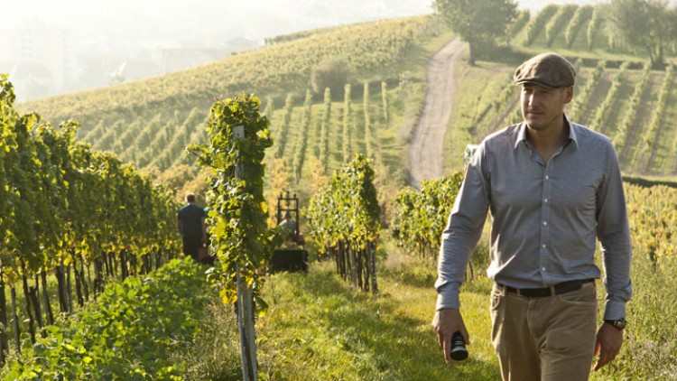 Eine Person in hellblauem Hemd läuft durch einen sonnigen Weinberg mit Reihen von Weinreben und einem schmalen Grasweg.