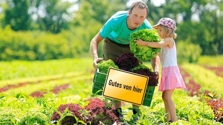 Eine Person übergibt einem Kind einen Salatkopf auf einem Feld mit bunten Salatpflanzen, Kiste mit Schild „Gutes von hier“.