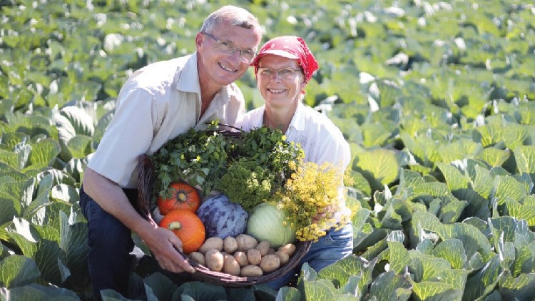 Zwei Personen halten einen Korb mit frischem Gemüse wie Kartoffeln, Kürbis, Kohl und Kräutern in einem Feld voller grüner Pflanzen.