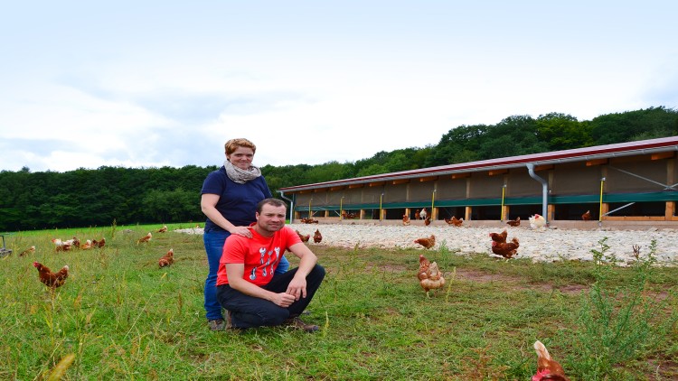 Personen auf einer Wiese mit Hühnern im Vordergrund, im Hintergrund ein großer Stall und Wald.