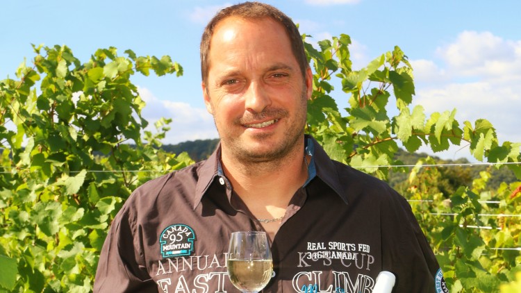 Person in dunklem Hemd mit Schriftzügen hält ein Glas Weißwein vor einer grünen Weinrebenlandschaft.