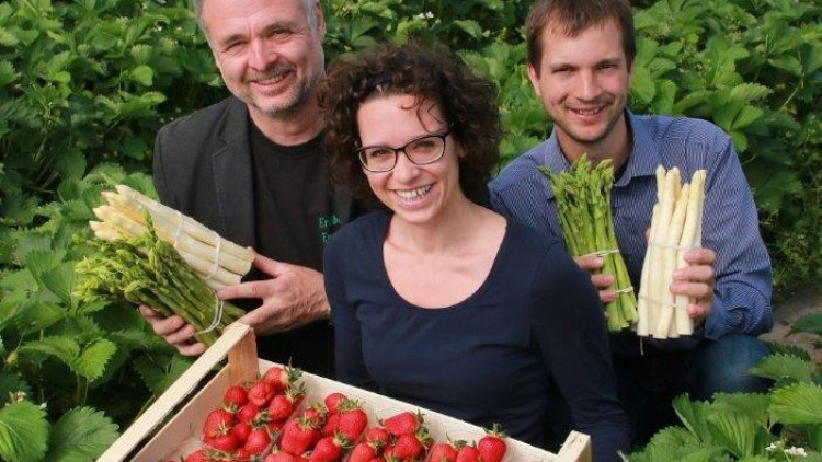 Drei Personen halten Spargelbündel und eine Kiste voller Erdbeeren, umgeben von grünen Erdbeerfeldern.