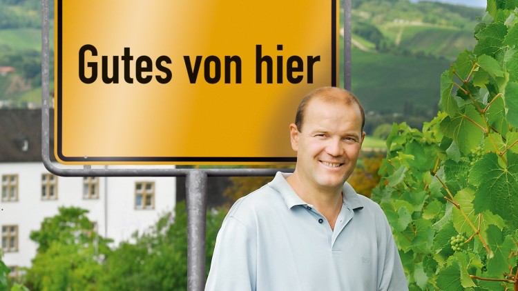 Eine Person in hellblauem Poloshirt schneidet mit einer Schere grüne Trauben, im Hintergrund ein Schild mit der Aufschrift Gutes von hier.