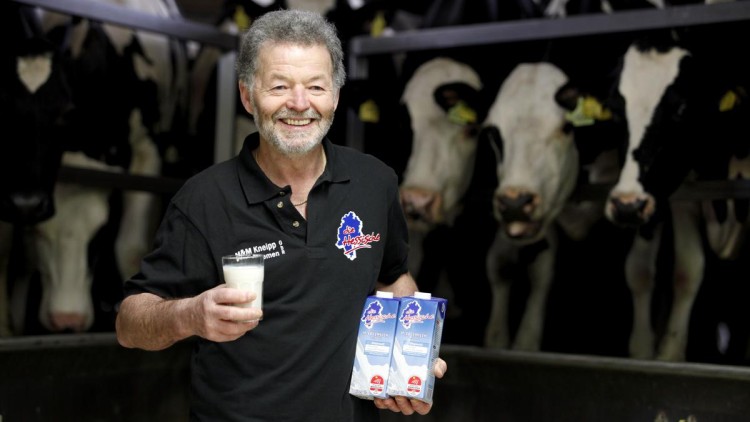 Person in schwarzem Poloshirt hält ein Glas Milch und zwei Milchkartons vor einer Reihe schwarz-weißer Kühe.