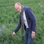 Eine Person in Freizeitkleidung steht in einem grünen Feld und zeigt auf Pflanzen.