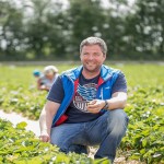 Eine Person kniet in einem Erdbeerfeld und hält eine Erdbeere, im Hintergrund ist eine weitere Person erkennbar.