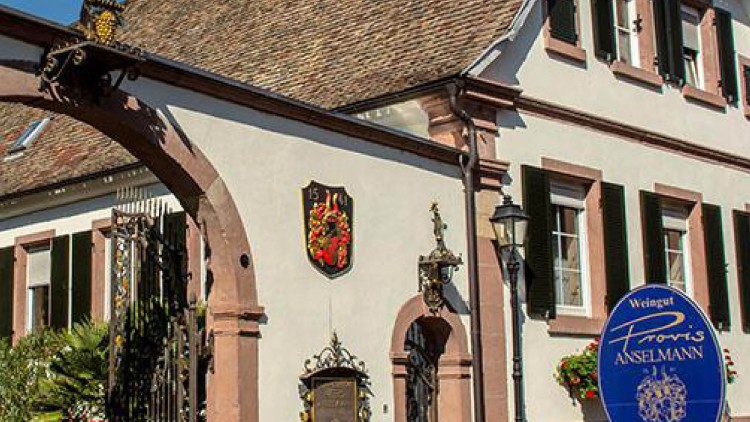 Historisches Gebäude mit weißer Fassade, grünen Fensterläden, Torbogen, Wappen und blauem Schild mit „Weingut Provis Anselmann“.