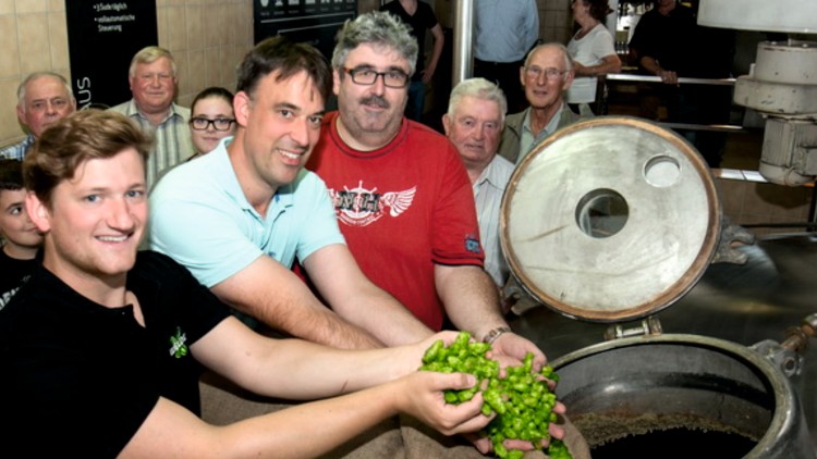 Personen halten grüne Hopfendolden über einen offenen Braukessel in einer Brauerei, im Hintergrund sind weitere Menschen.