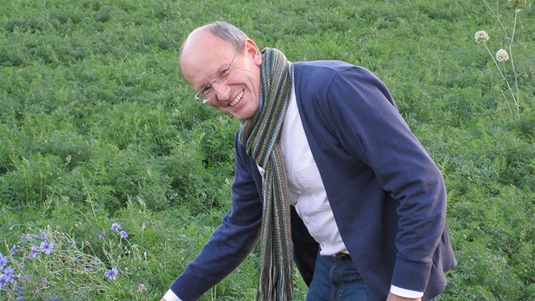 Person in weißem Hemd, dunkelblauem Cardigan und gestreiftem Schal beugt sich über grüne Wiese mit Blumen.