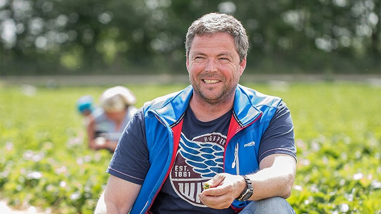 Person in blauer Weste sitzt auf einem Erdbeerfeld, hält eine Erdbeere in der Hand, im Hintergrund Menschen bei der Ernte.