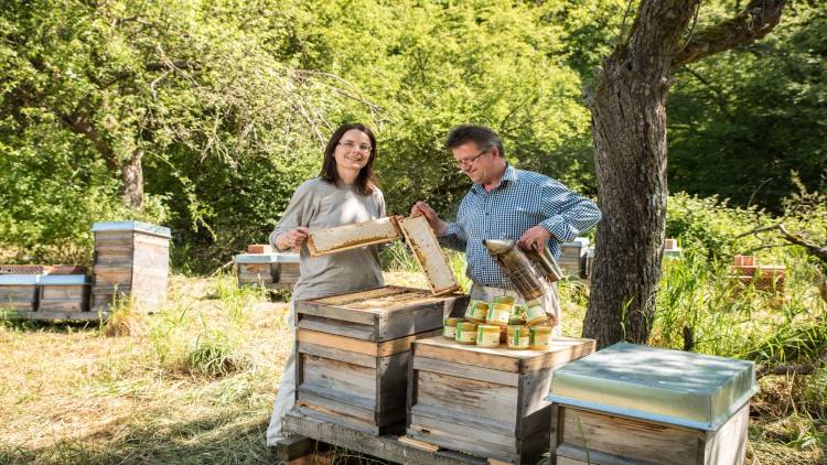 Zwei Personen stehen an Bienenstöcken, halten Waben und einen Räucherbehälter, darauf Gläser mit Honig in grüner Umgebung.
