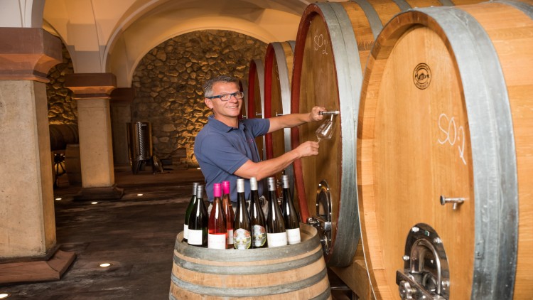 Eine Person zapft Wein aus einem großen Holzfass, davor steht ein Weinfass mit mehreren Weinflaschen.