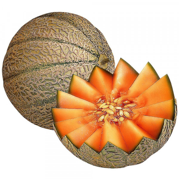 Bio Cantaloup Melone
