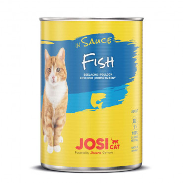 Katzenfutter, Fisch in Sauce
