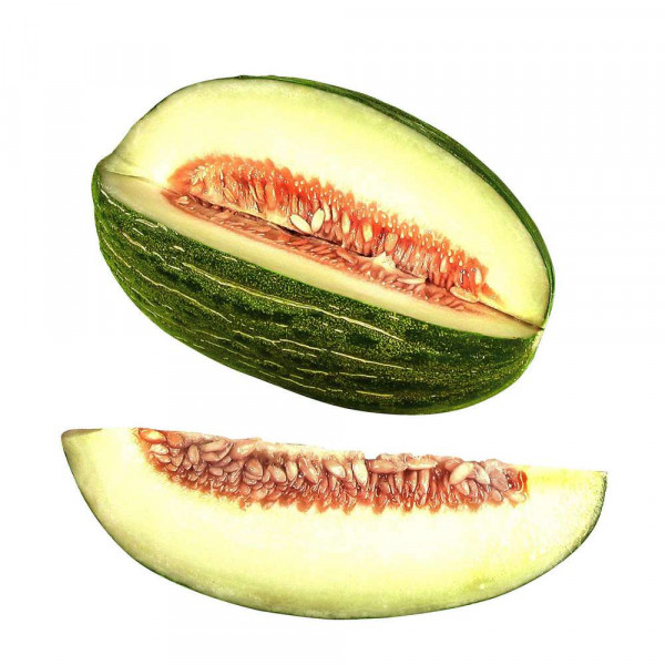 Futuro Melone