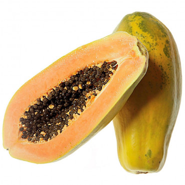 Papaya, extra groß