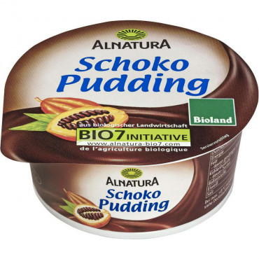 Bio Pudding, Schoko