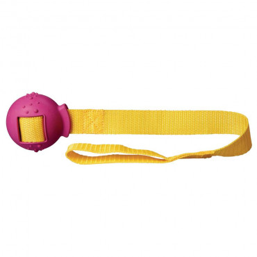 Hundespielzeug Ball am Gurt, 6x48cm