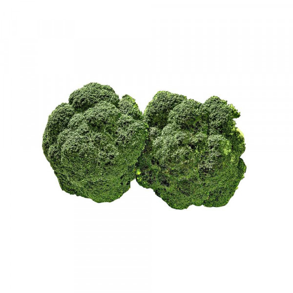 Kronen Broccoli