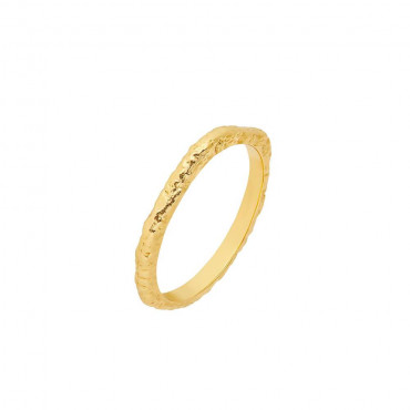 Damen Ring aus Silber 925, vergoldet (4056874024976)