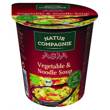 Bio Nudel-Gemüse Suppe Asia Style