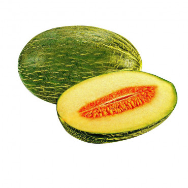 Melone Piel de Sapo