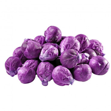 Rosenkohl violett