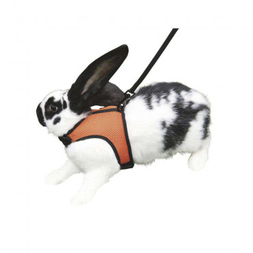 Kaninchengeschirr mit flexibler Leine, 120cm