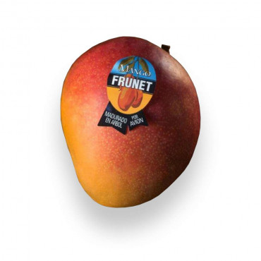 Premium Mango Frunet