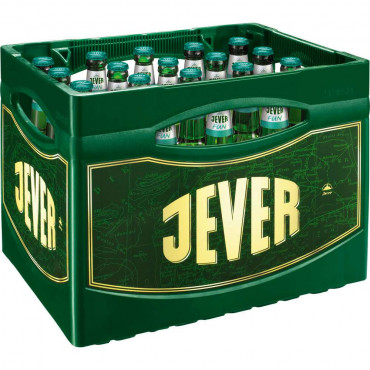 Pilsener Bier Fun, alkoholfrei (20x 0,500 Liter)
