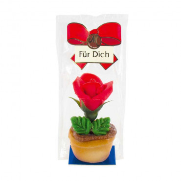 Marzipan-Rose im Blumentopf