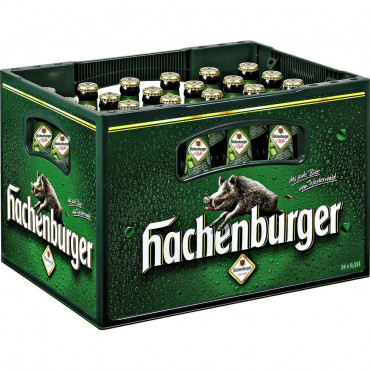 Pilsener Bier 4,9% (24x 0,330 Liter)