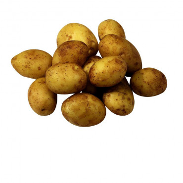 Kartoffeln roterdig, vorwiegend festkochend, Sack